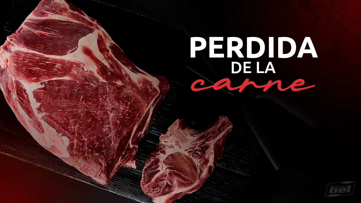 Prevención de Pérdida